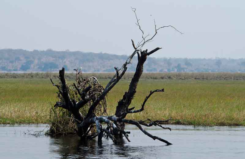 10 - Botswana - parque nacional de Chobe - paisaje